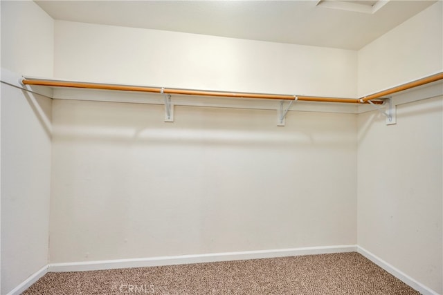 spacious closet with carpet floors