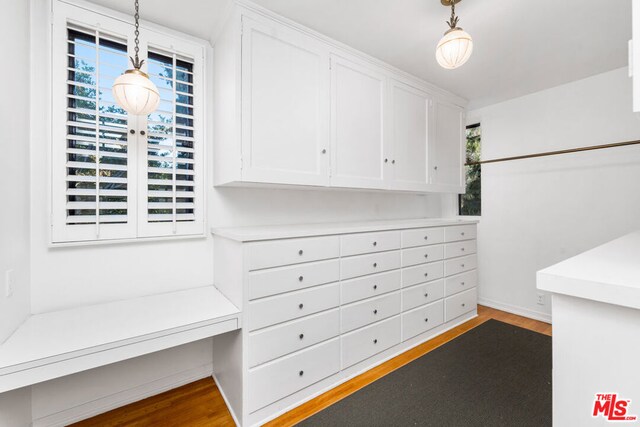 spacious closet with hardwood / wood-style floors