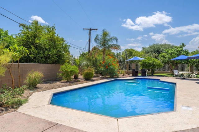 view of pool featuring a patio area