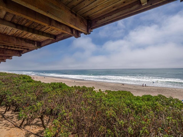 water view featuring a beach view