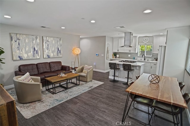 living room featuring sink and dark wood-type flooring