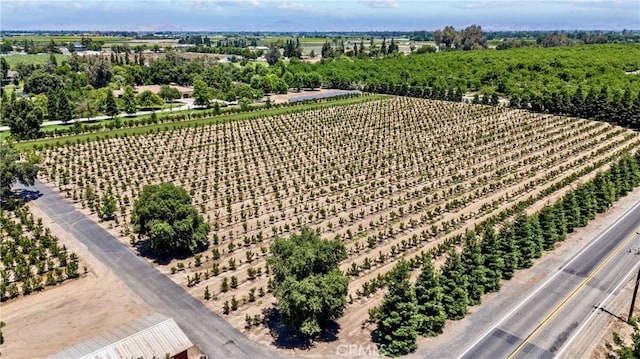 birds eye view of property featuring a rural view