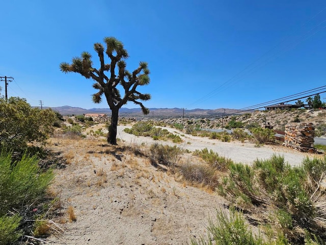 Listing photo 3 for 0 Buena Suerte Rd, Yucca Valley CA 92284