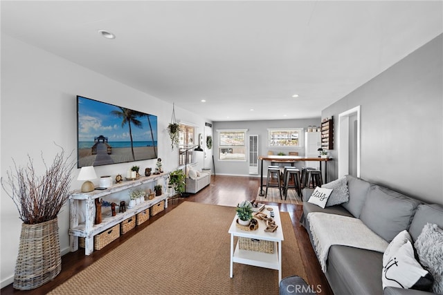 living room featuring dark wood-type flooring