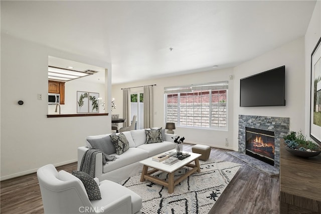 living room with a fireplace and hardwood / wood-style floors