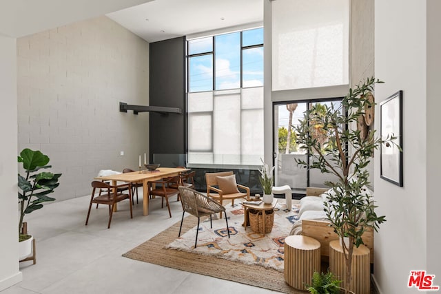 living area with plenty of natural light