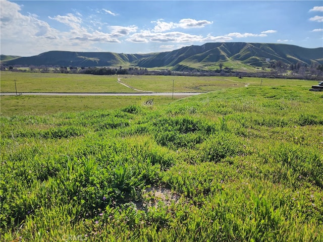 13300 Round Mountain Rd, Bakersfield CA, 93308 land for sale