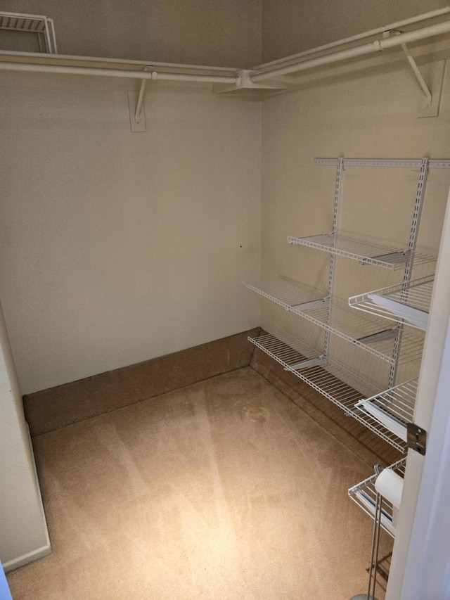 walk in closet featuring carpet flooring