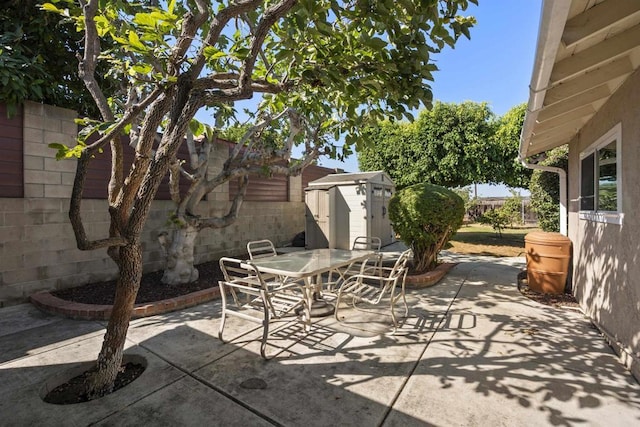 view of patio / terrace with a storage unit