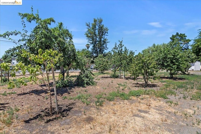 view of landscape with a rural view