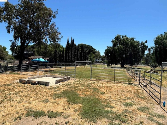 view of yard featuring a rural view