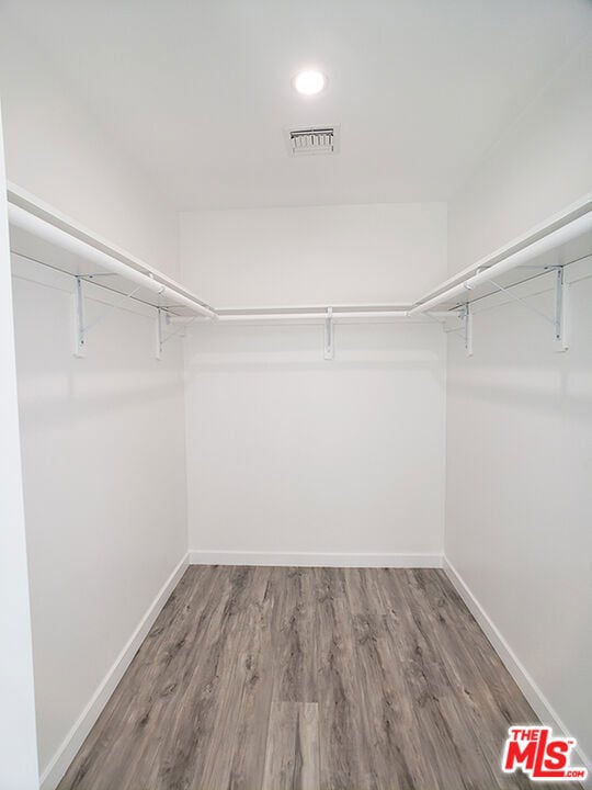 spacious closet with wood-type flooring