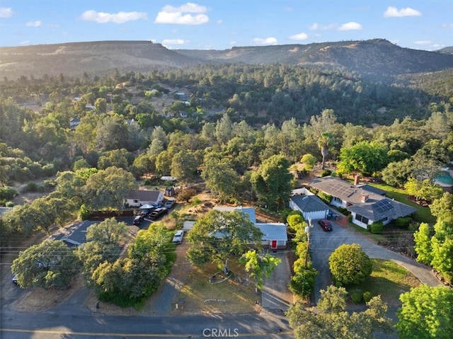 bird's eye view with a mountain view