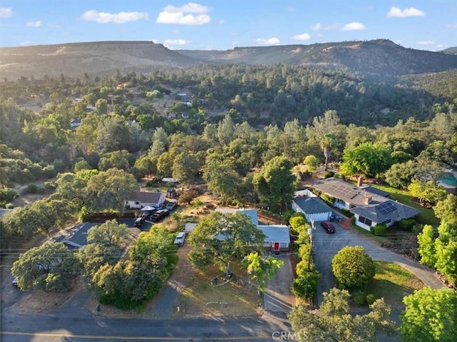 bird's eye view featuring a view of trees and a mountain view