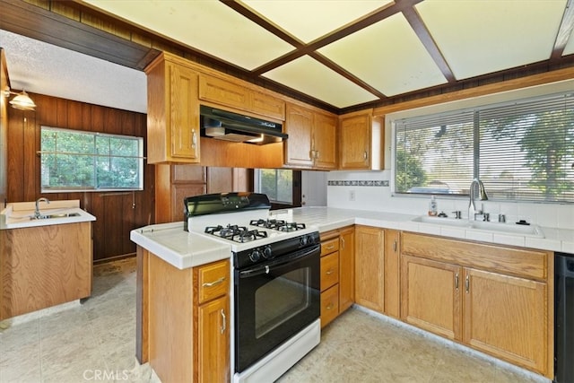 kitchen with white gas stove, a healthy amount of sunlight, and sink