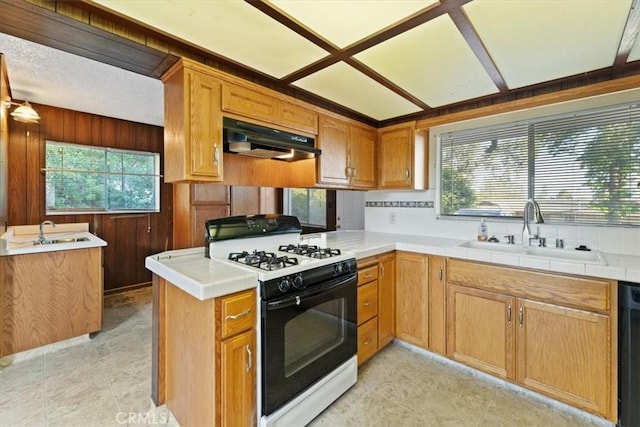 kitchen with a sink, a healthy amount of sunlight, gas range, and under cabinet range hood