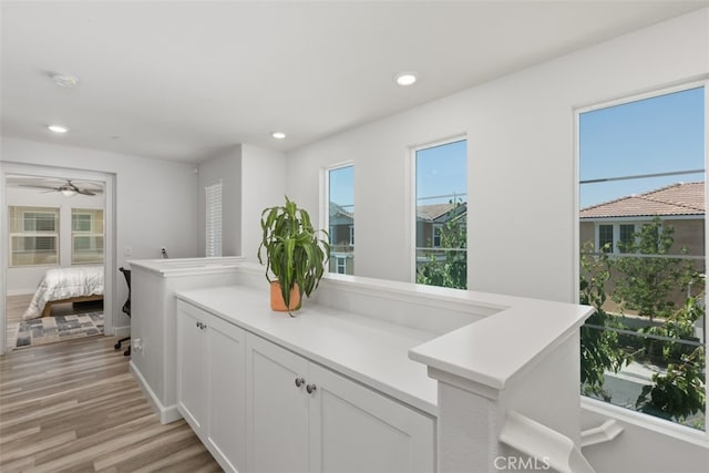 bathroom with ceiling fan and wood-type flooring