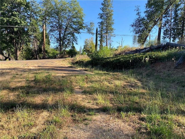1729 Bille Rd, Paradise, CA 95969 - photo 6