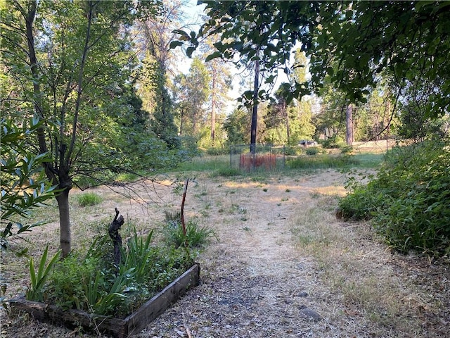 1729 Bille Rd, Paradise, CA 95969 - photo 14