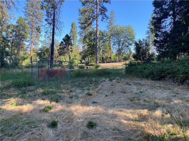 1729 Bille Rd, Paradise, CA 95969 - photo 15