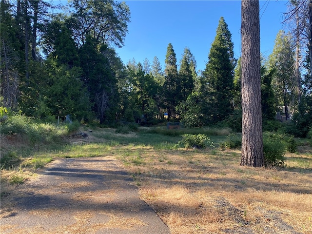 Listing photo 3 for 1729 Bille Rd, Paradise CA 95969