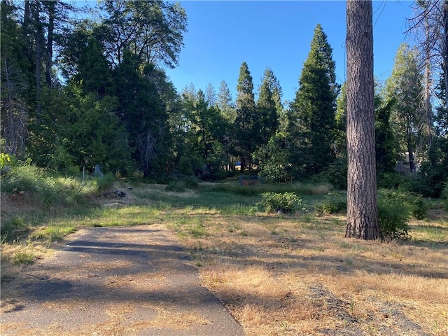 1729 Bille Rd, Paradise, CA 95969 - photo 3