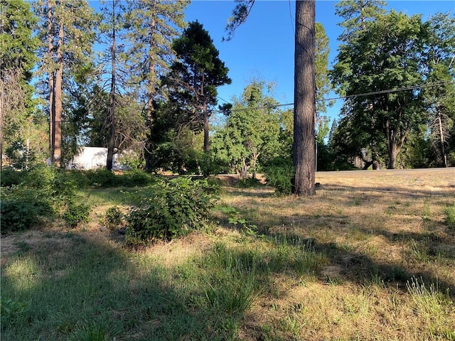 1729 Bille Rd, Paradise, CA 95969 - photo 5