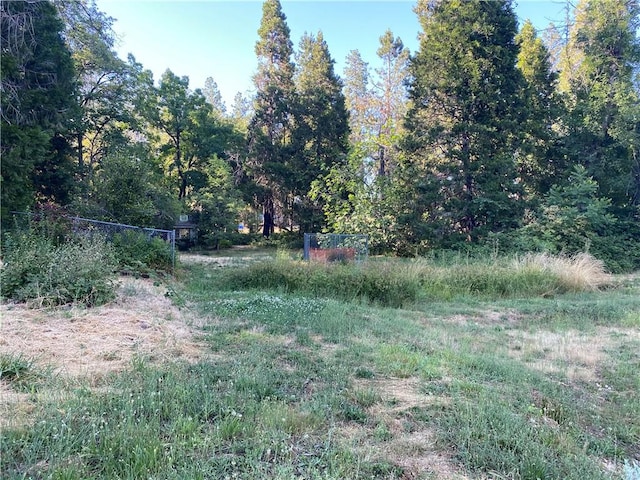 1729 Bille Rd, Paradise, CA 95969 - photo 4
