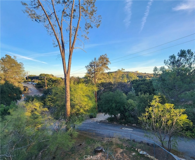 view of local wilderness