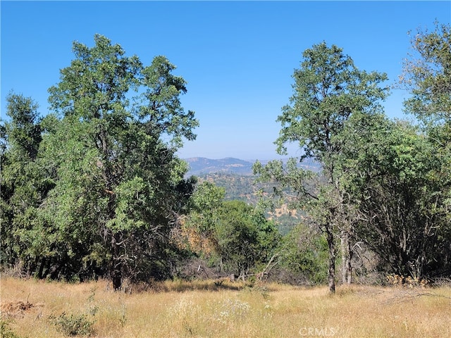 5587 Alta Vista Rd, Mariposa CA, 95338 land for sale