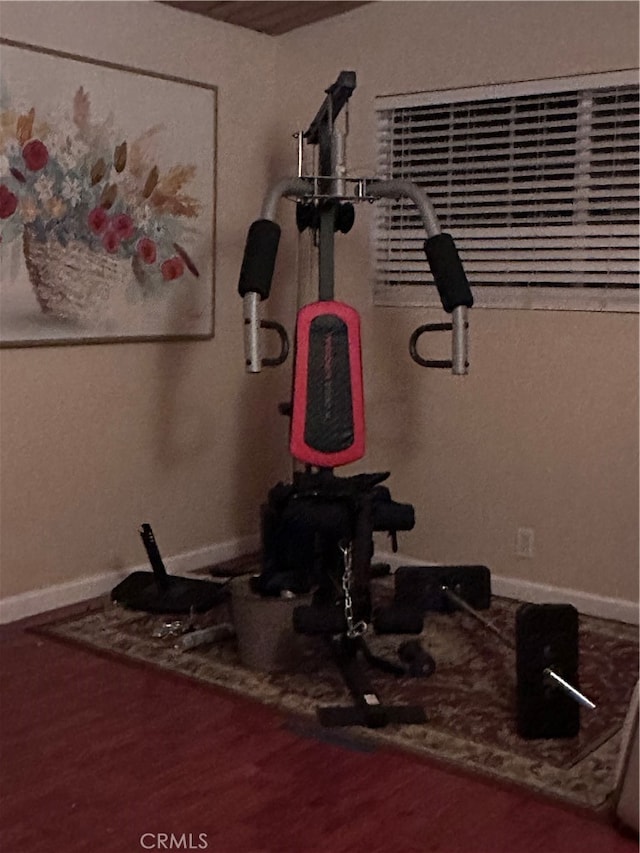 exercise room featuring hardwood / wood-style floors