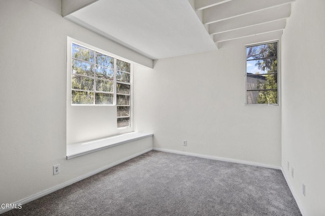 carpeted empty room with plenty of natural light