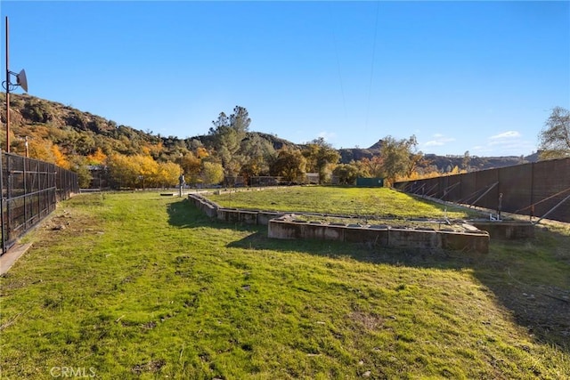 view of yard with a mountain view and a rural view