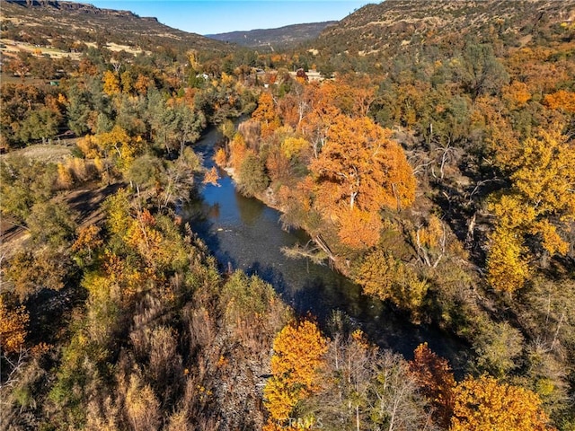 birds eye view of property featuring a mountain view