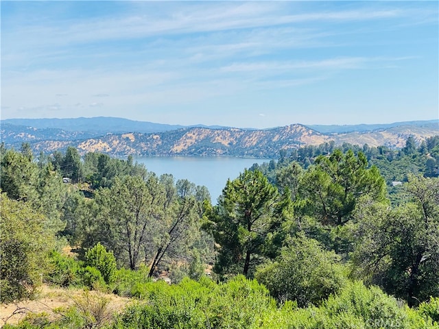 4970 Iroquois Trl, Kelseyville CA, 95451 land for sale