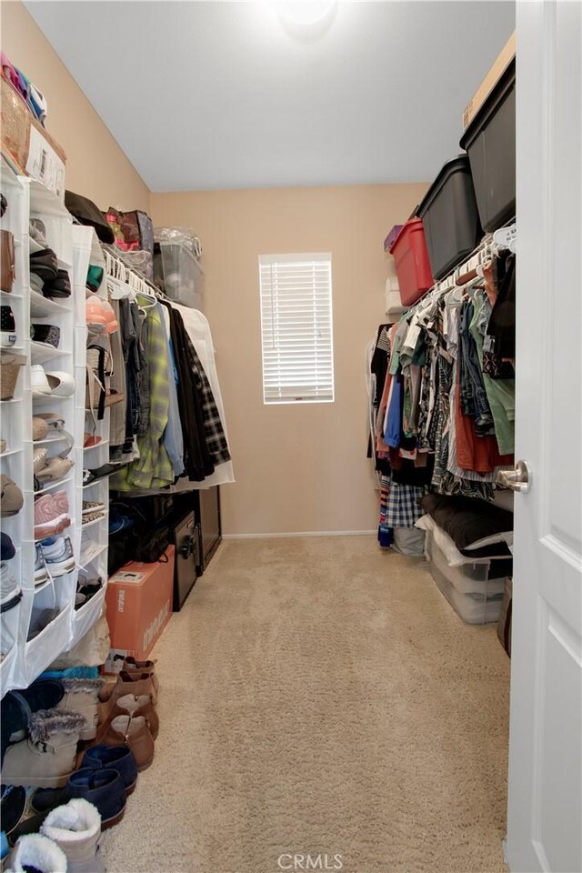 walk in closet with carpet floors