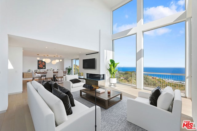 living room with a high ceiling, light wood-type flooring, and plenty of natural light