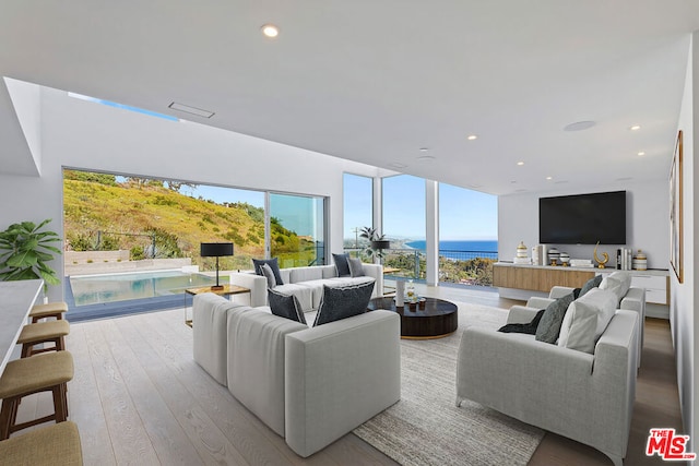 living room with light hardwood / wood-style flooring