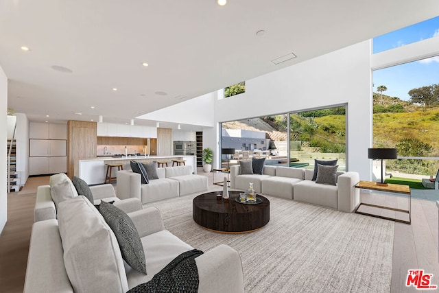 living room featuring light hardwood / wood-style floors and a wealth of natural light