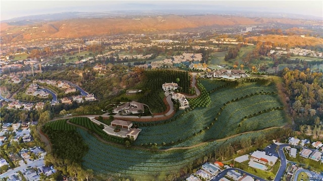 31062 Casa Grande Dr, San Juan Capistrano, CA 92675 - aerial view