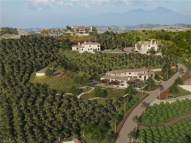 aerial view with a mountain view