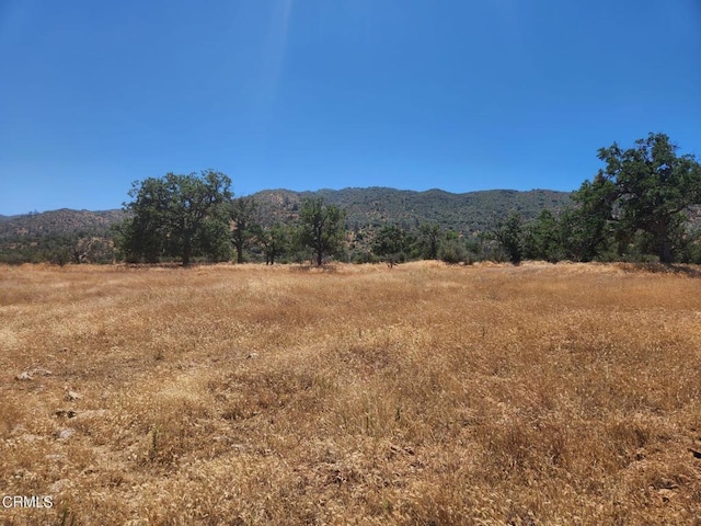 0 Redstone Ave, Caliente CA, 93518 land for sale