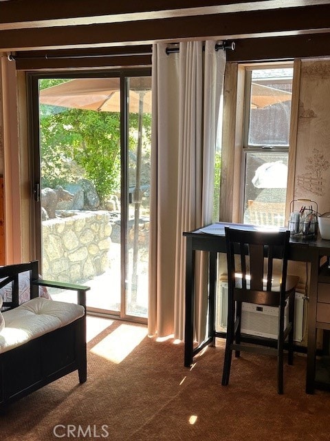 doorway to outside with carpet floors and plenty of natural light