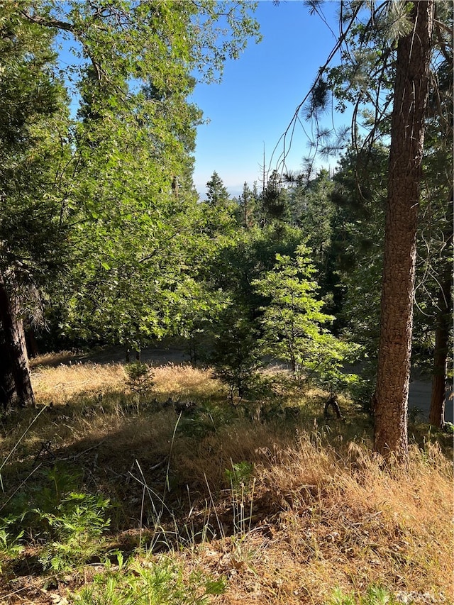 0 Mojave River Rd, Cedarpines Park CA, 92322 land for sale