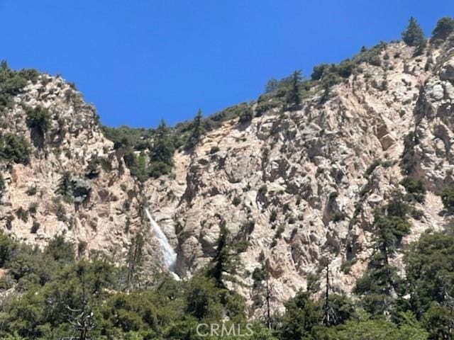 41501 Island Dr, Forest Falls, CA 92339 - mountain view