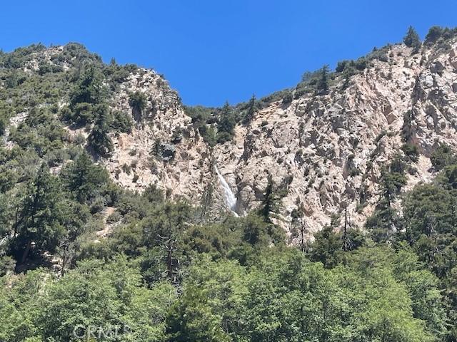 41501 Island Dr, Forest Falls, CA 92339 - view of mountain feature with a forest view