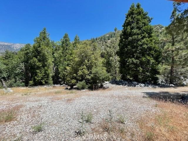 41501 Island Dr, Forest Falls, CA 92339 - view of local wilderness with a wooded view