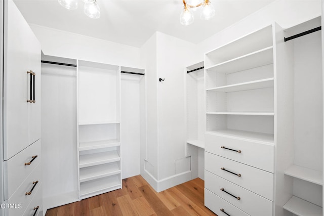 spacious closet featuring a barn door and light hardwood / wood-style flooring