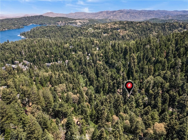 drone / aerial view with a water and mountain view