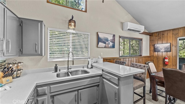 kitchen featuring wooden walls, vaulted ceiling, a wealth of natural light, and sink